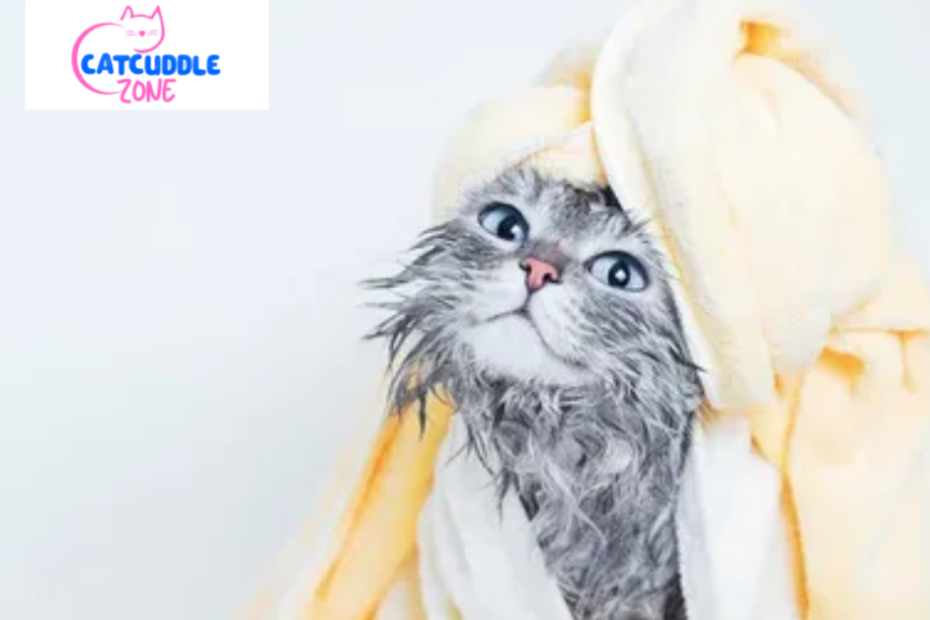 can-you-use-dog-shampoo-on-cats