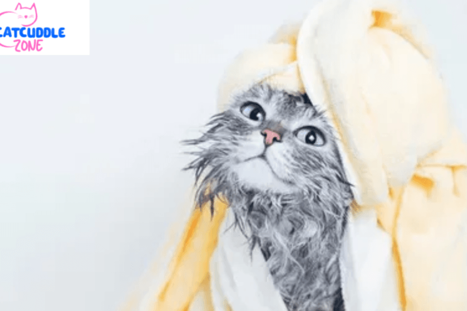 can-you-use-dog-shampoo-on-cats