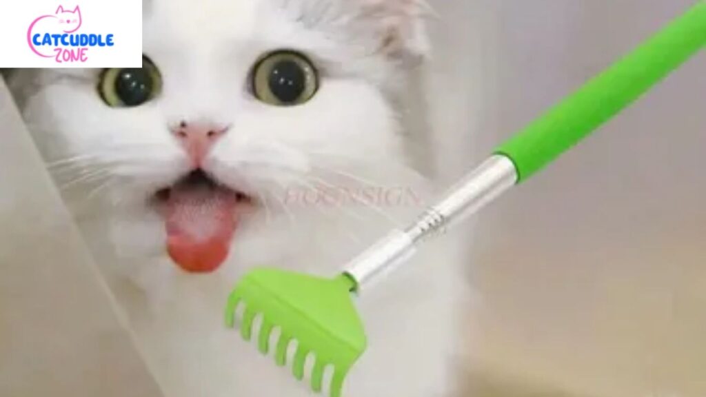 environment affetcs your cat's scent