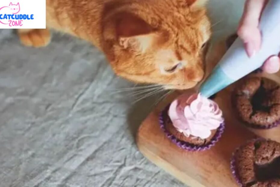 can-cats-have-whipped-cream