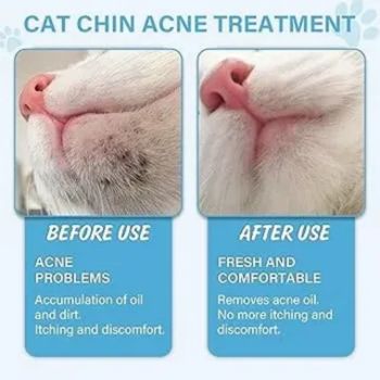cat-chin-mites-vs-acne