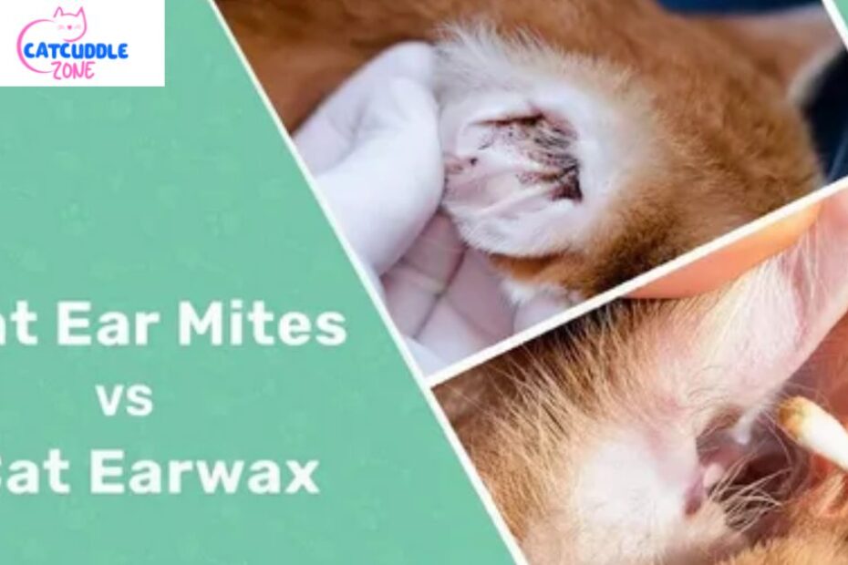 cat-ear-mites-vs-earwax