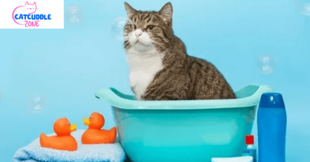 is-dawn-dish-soap-safe-for-cats