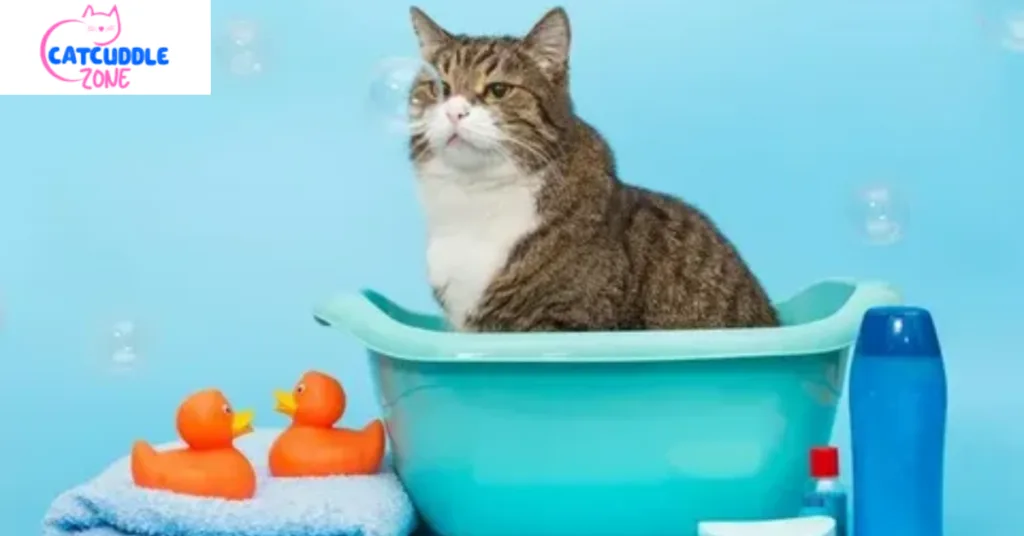 Is Dish Soap Safe for Cats? Essential Facts Every Owner Must Know