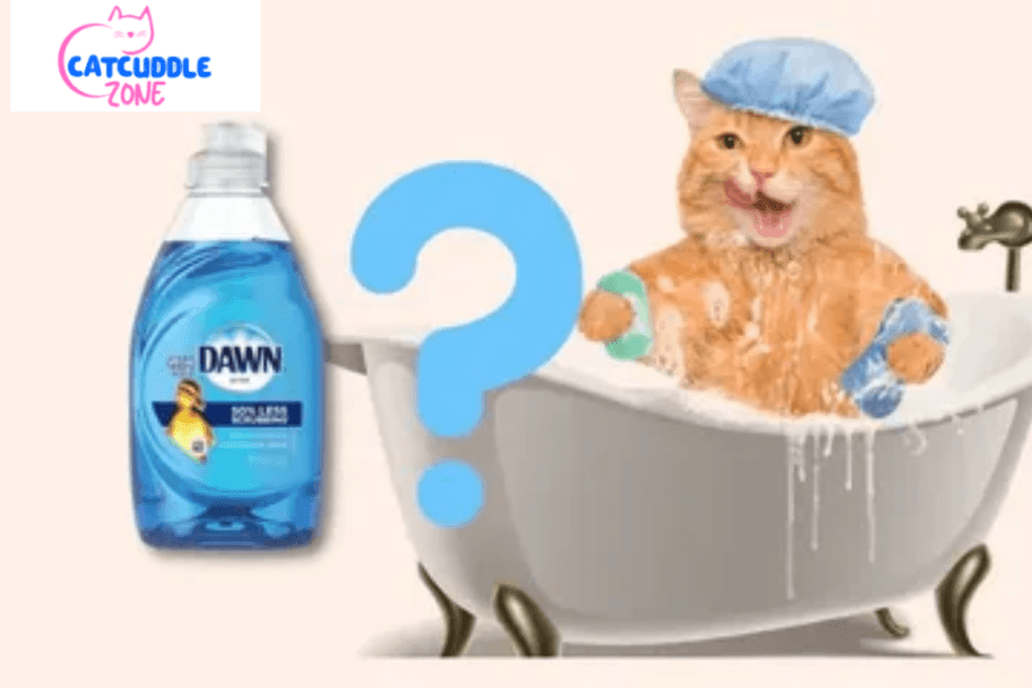 is-dawn-dish-soap-safe-for-cats