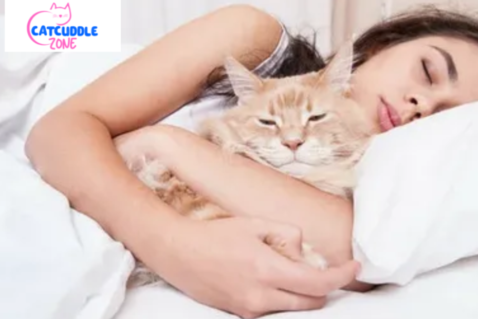 why-does-my-cat-sleep-next-to-me