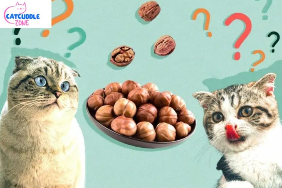 can cats eat walnuts