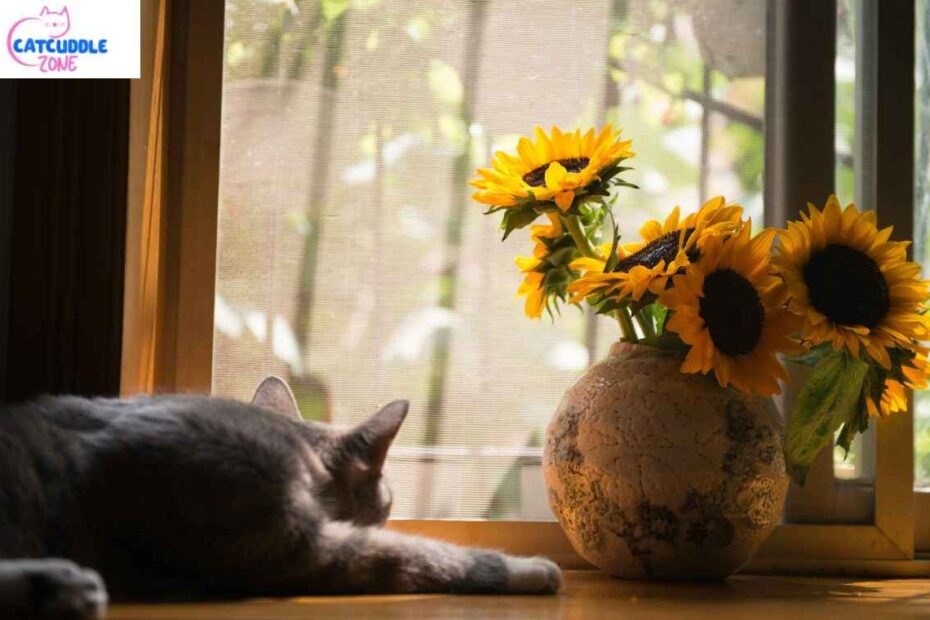 Are Alstroemeria Flowers toxic to Cats